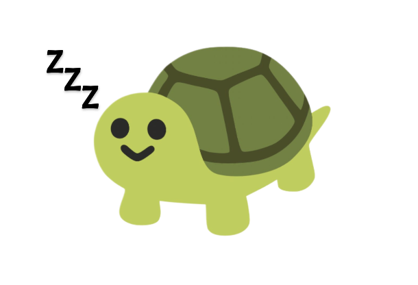 Did you know some tortoises snore with their eyes open?